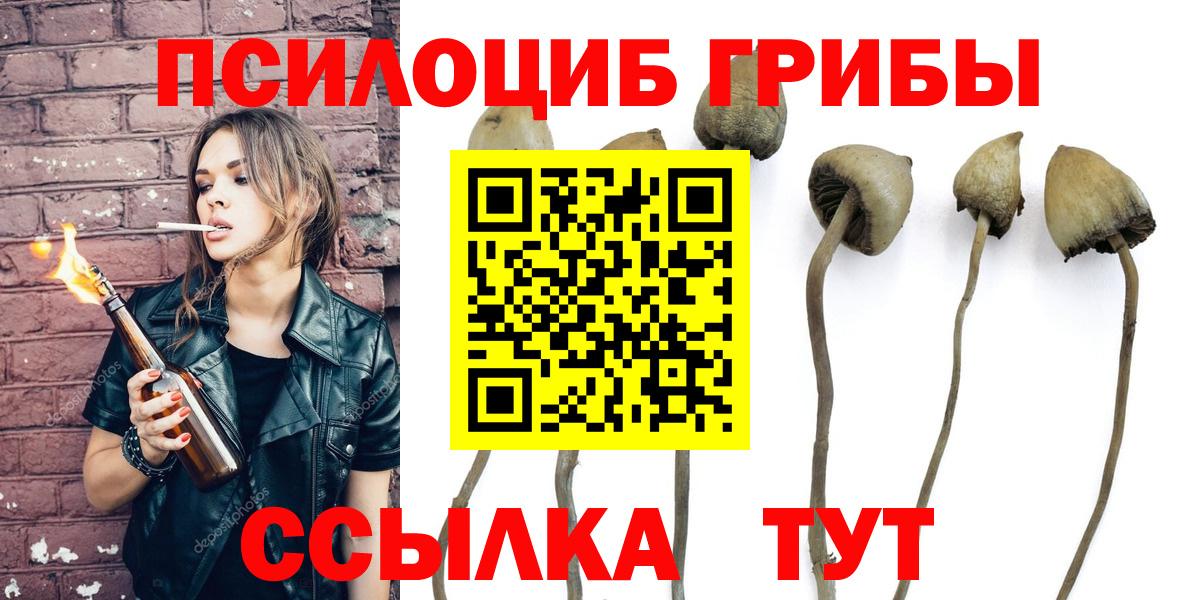 Жигулёвск  Псилоцибиновые грибы прущие грибы  Вход с VPN 